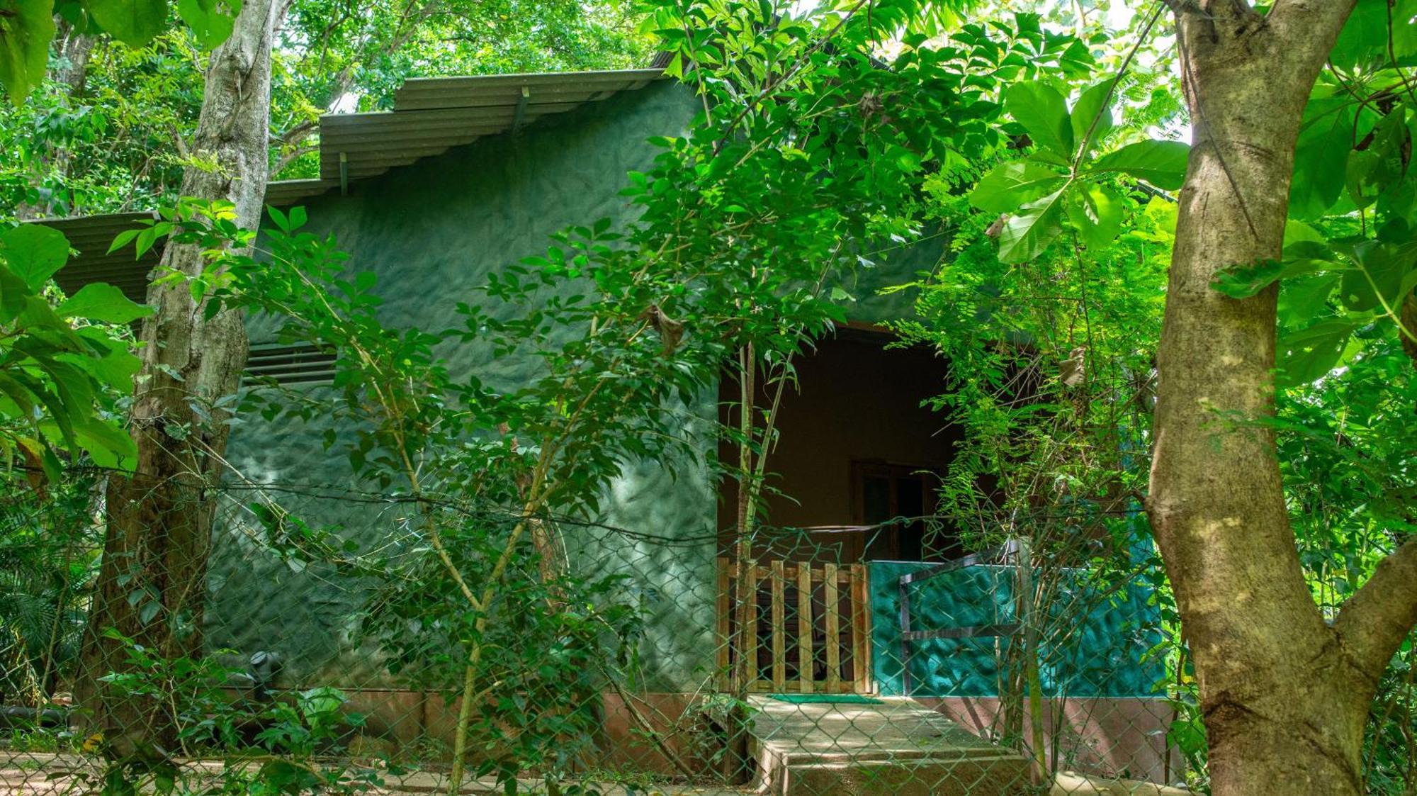 אודוואלאווה Silent Bungalow מראה חיצוני תמונה