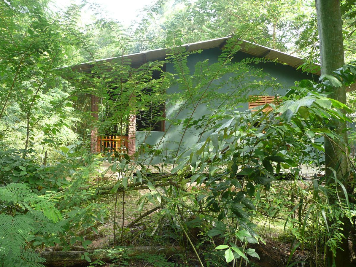 אודוואלאווה Silent Bungalow מראה חיצוני תמונה